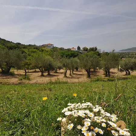 Zefiro Appartamento Ascea