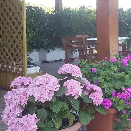Zefiro Apartament *